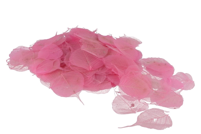 Skeleton Leaves Pink Set Of 200