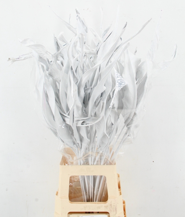 <h4>DROOGBL BEWERKT H%</h4>