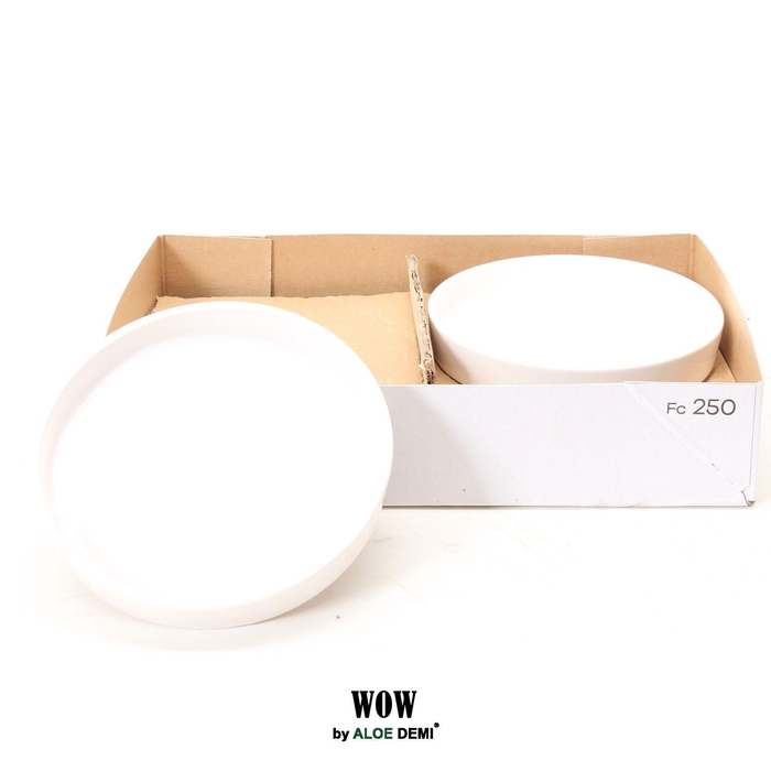 <h4>WOW bowl, White</h4>