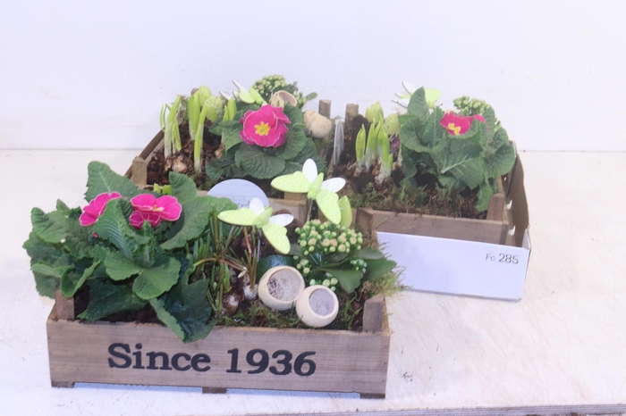 <h4>ARR PL IN SCHAAL</h4>