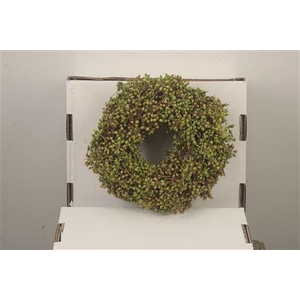Wreath Exotica Berry 20cm