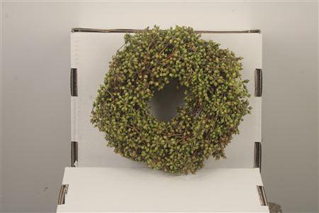 <h4>Wreath Exotica Berry 20cm</h4>