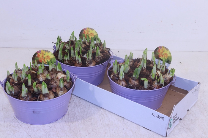 <h4>ARR N TETE A TETE</h4>