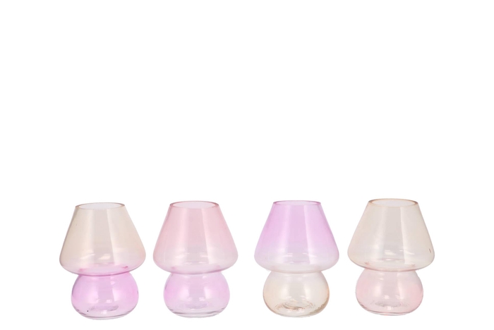 Bicolore Dreamy Pastel Mix Mushroom Ass 12x15cm