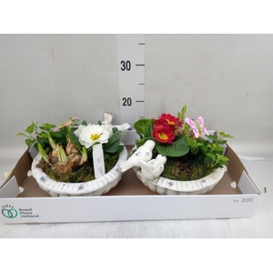 Arr.   Tuinplanten L%