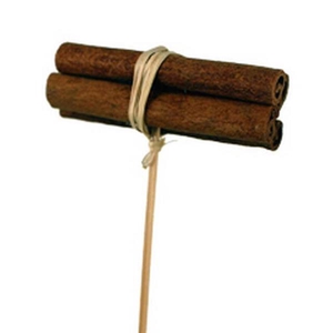 Bijsteker Kaneel bundel 8x3cm+12cm stok natural
