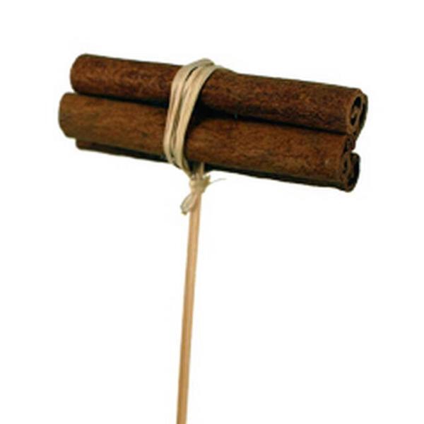 <h4>Bijsteker Kaneel bundel 8x3cm+12cm stok natural</h4>
