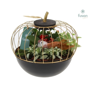 Metaal appel goudzwart Large met Arrangement