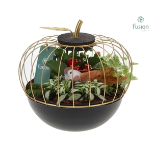 Metaal appel goudzwart Large met Arrangement