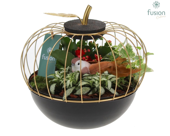 <h4>Appel metaal goudzwart Large met Arrangement</h4>