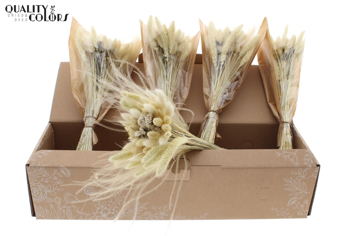 Dried BQT-Intense Bleached