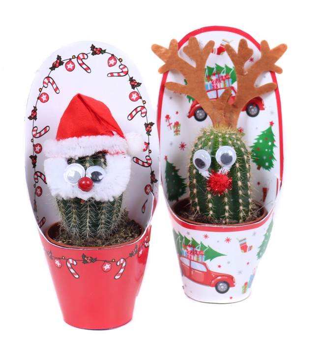 <h4>Kerstman mix 5,5 cm in kerst potcovers</h4>