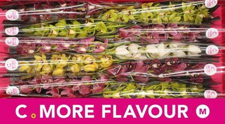 <h4>Cymb Mi Mixed</h4>