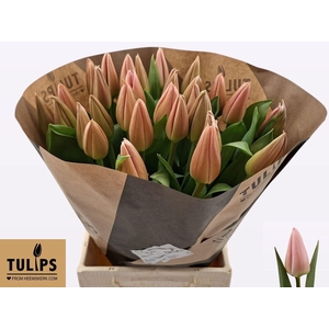 TU EN SALMON DESSERT