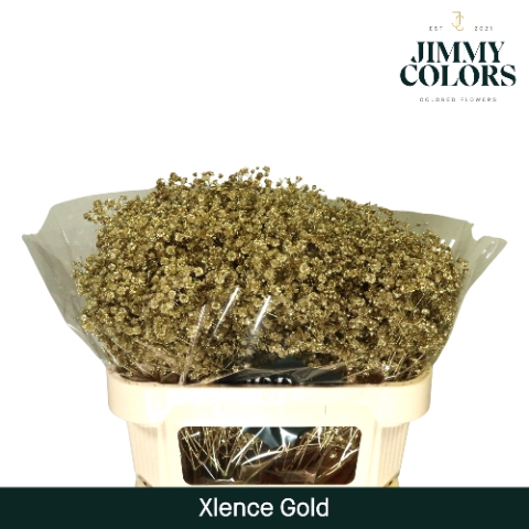 <h4>Gyps Xlence l70 Mtlc. Gold</h4>