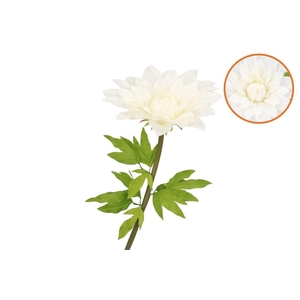 Silk Amazing Dahlia Beauty Cream Xxxl 65x145cm