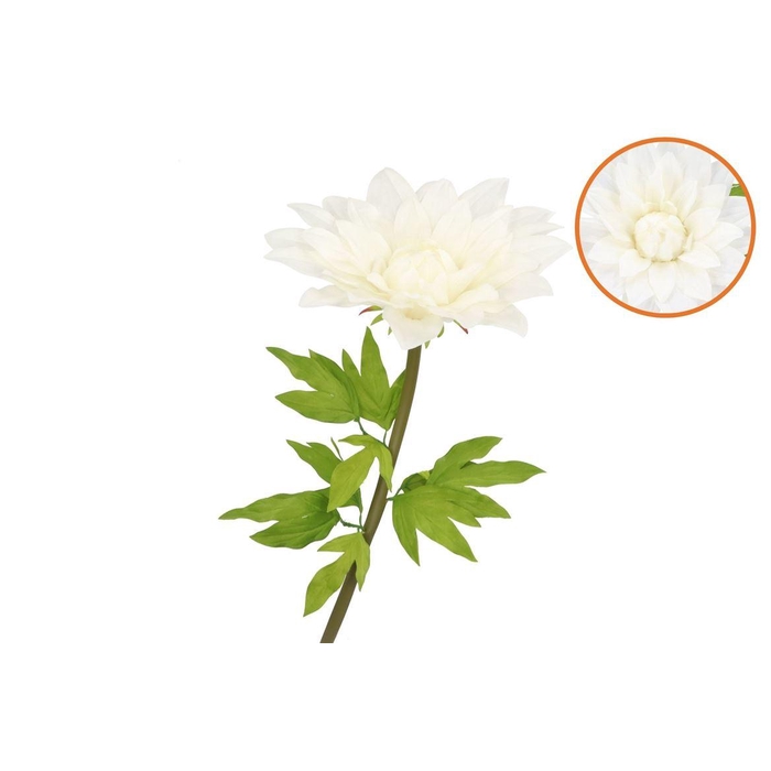 <h4>Silk Amazing Dahlia Beauty Cream Xxxl 65x145cm</h4>