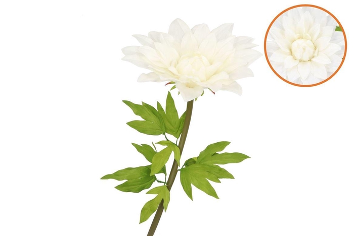 <h4>Silk Amazing Dahlia Beauty Cream Xxxl 65x145cm</h4>