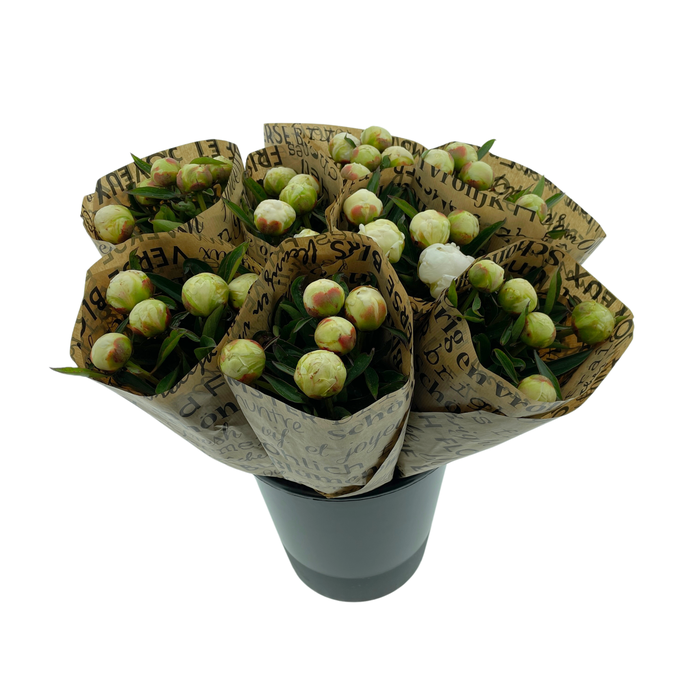<h4>Mono Pioenen Wit x5 in broodpapier</h4>