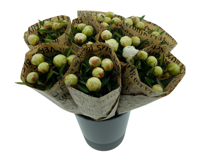 <h4>Mono Pioenen Wit x5 in broodpapier</h4>