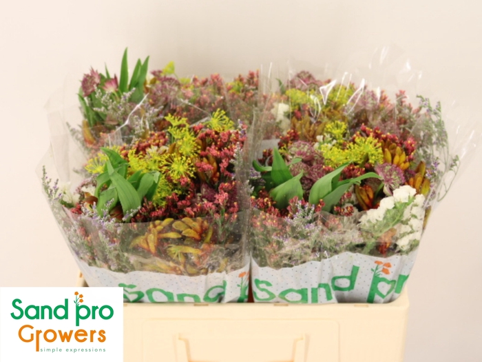 <h4>GEM ZOMERBOEKET</h4>