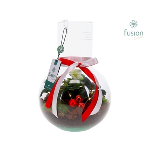 Green Bottle Suzanne Medium Kerst met Helleborus