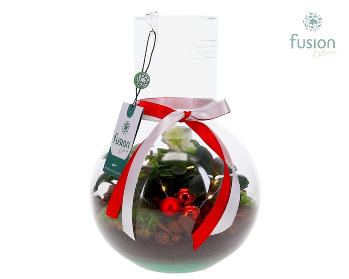 <h4>Green Bottle Suzanne Medium Kerst met Helleborus</h4>