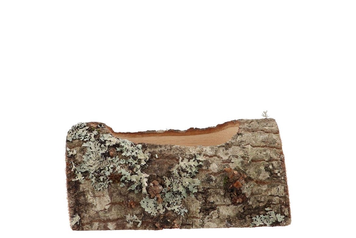Nature Oak Planter 19x10x9cm