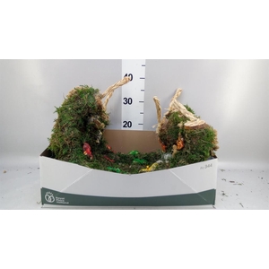 Decoratie  ..Vogelzaadfiguur  H%