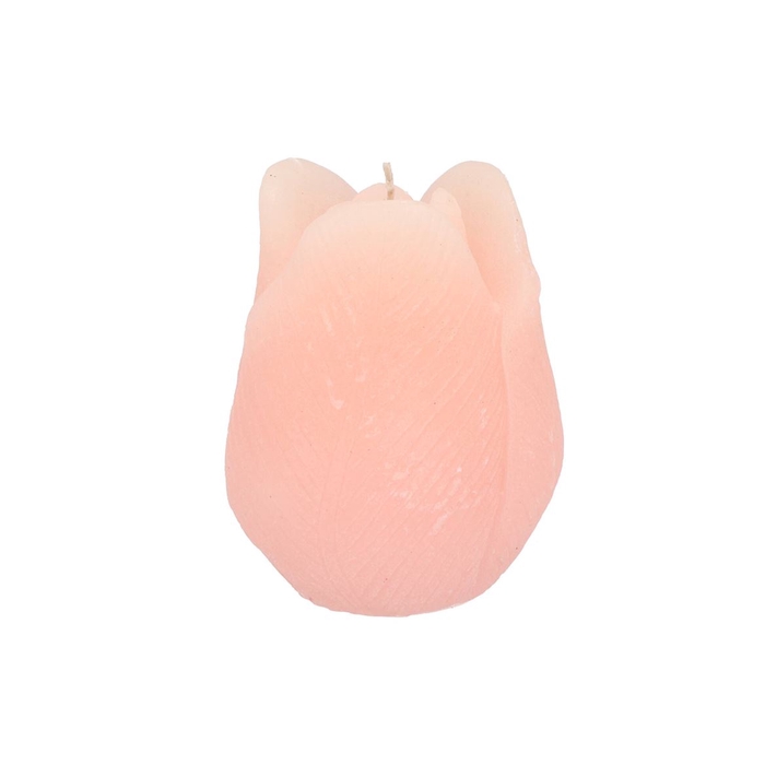 <h4>Candle Tulip White Pink10x13cm</h4>