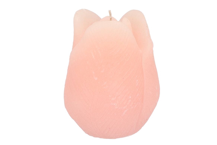 Candle Tulip White Pink10x13cm