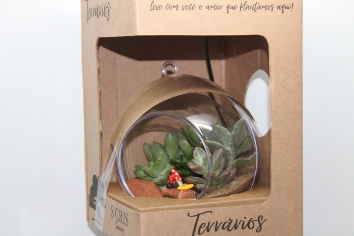 <h4>TERRARIO MEDIO DECORADO</h4>