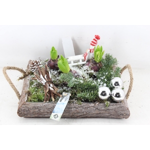 arr4 Hyacint JS - Dienblad 4kant XL