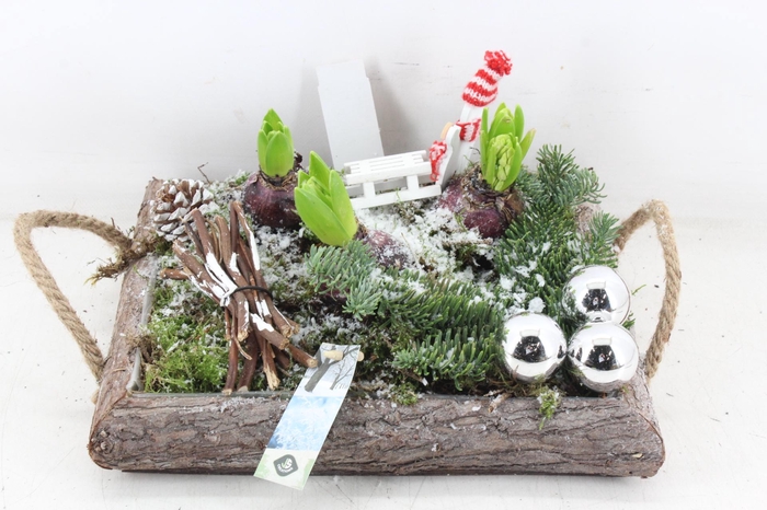 <h4>arr4 Hyacint JS - Dienblad 4kant XL</h4>