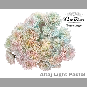 CHR T ALTAJ LIGHT PASTEL
