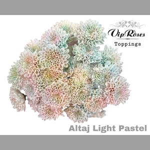 CHR T ALTAJ LIGHT PASTEL