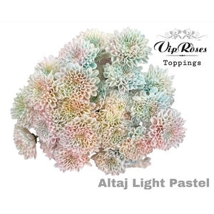 Chr T Altaj Light Pastel