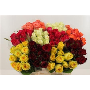 Boeket Roos Keer 10 (mix)