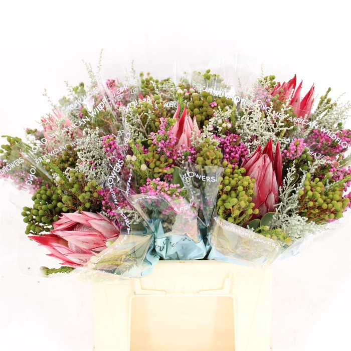 <h4>Bouquet Promo 1 Cynaroides</h4>
