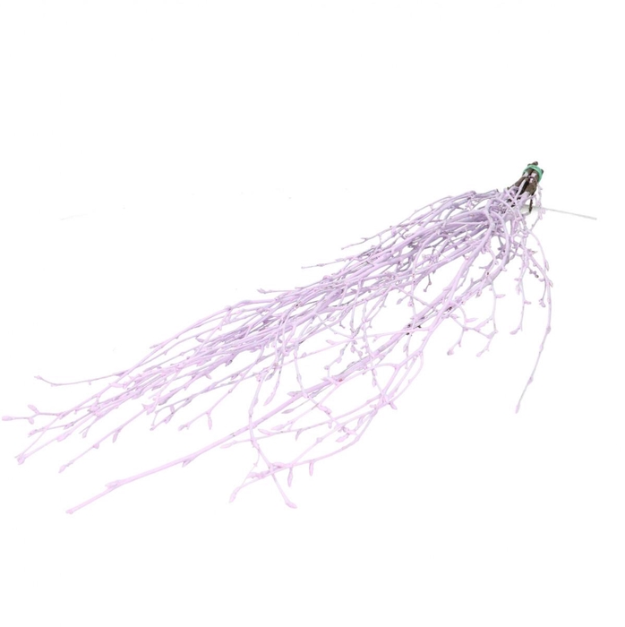 <h4>Dried articles Birch branch 70cm</h4>