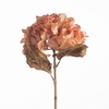 AF Hydrangea Dried L61cm Peach