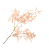 Fern Branch Pink Light