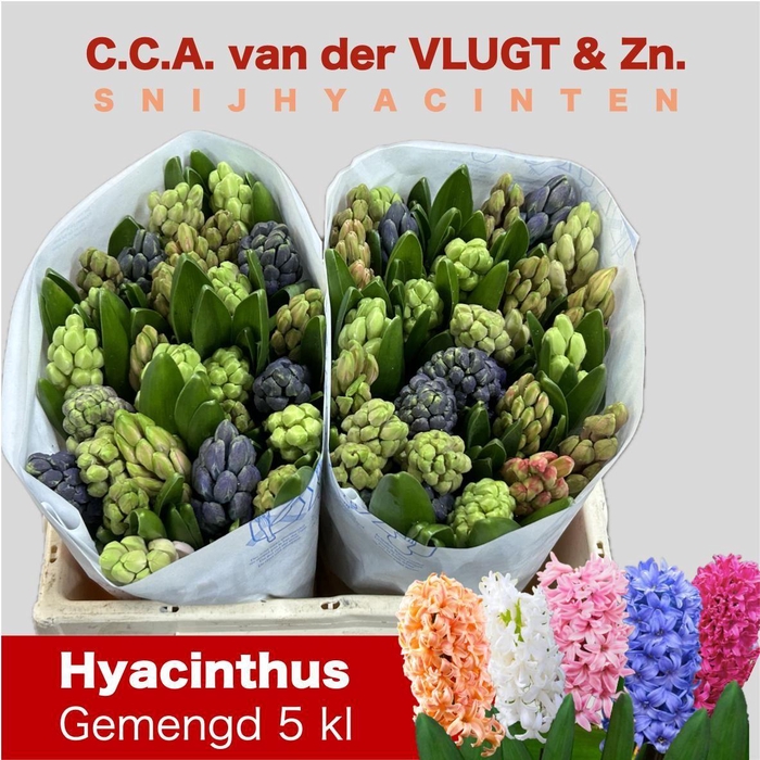 <h4>HYAC GEM 5 KLEUREN</h4>