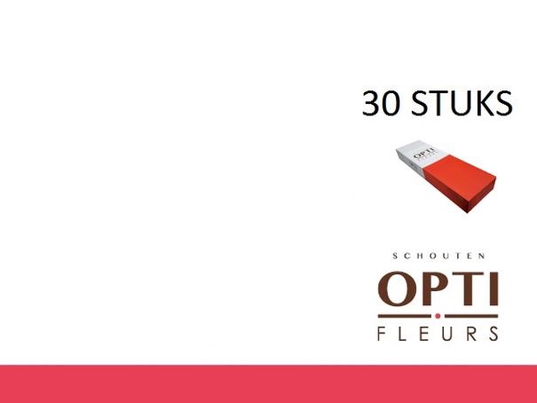 <h4>GE GR ORANGE YELLOW MIX-Doosx30</h4>