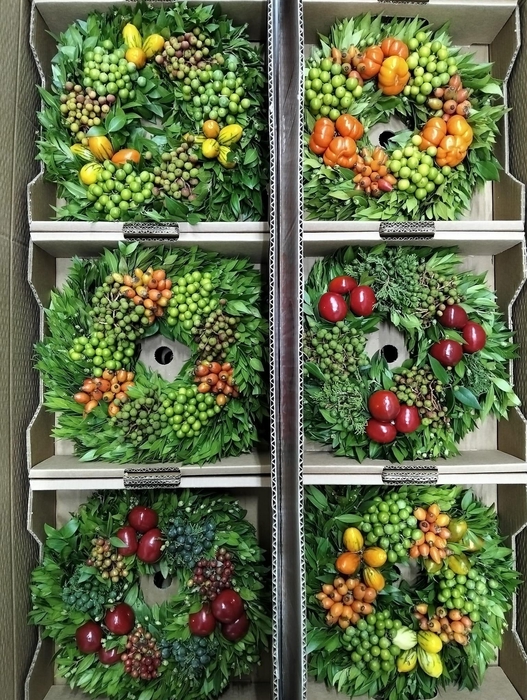 <h4>SIERFRUIT KRANS H%</h4>