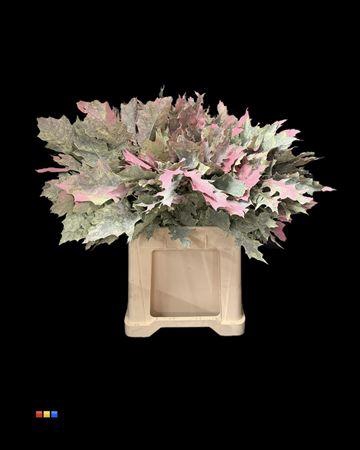 <h4>Eikeblad Hortensia 60cm</h4>