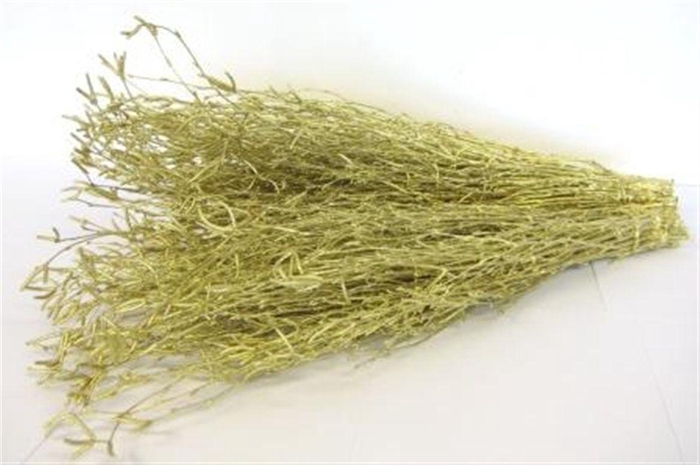 <h4>Berkentak Goud</h4>