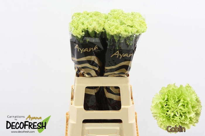 <h4>DI ST OVERIG DI ST OV</h4>