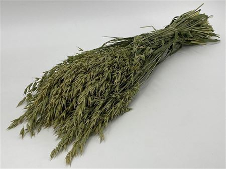 <h4>DRIED AVENA (HAVER) NATURAL BUNCH</h4>