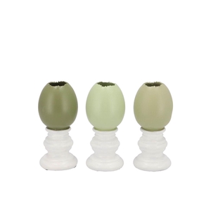 Easter Egg Trophy Summer Green Mix Vase Ass 6x6x11cm Nm